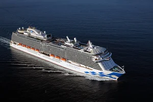 Adventure Bears 2025 Mexico Cruise on the Royal Princess — event flyer
