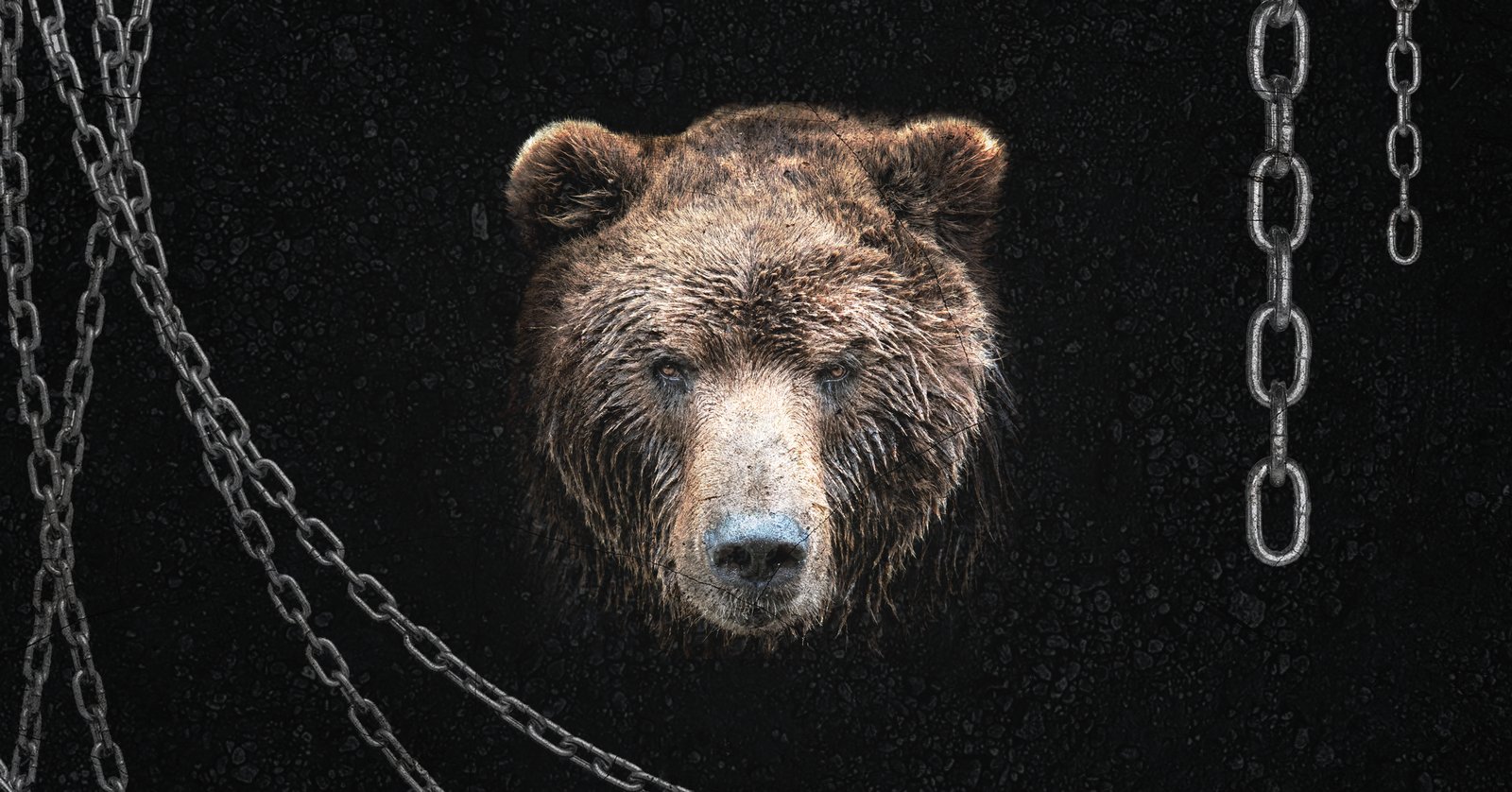 Bear Cave — event flyer